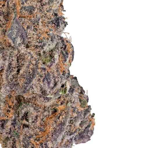 Blue Cherry Gelato