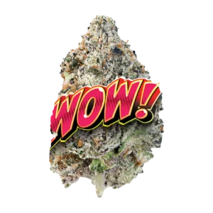 WOW!