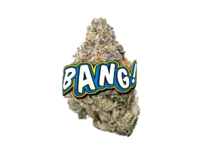 bang